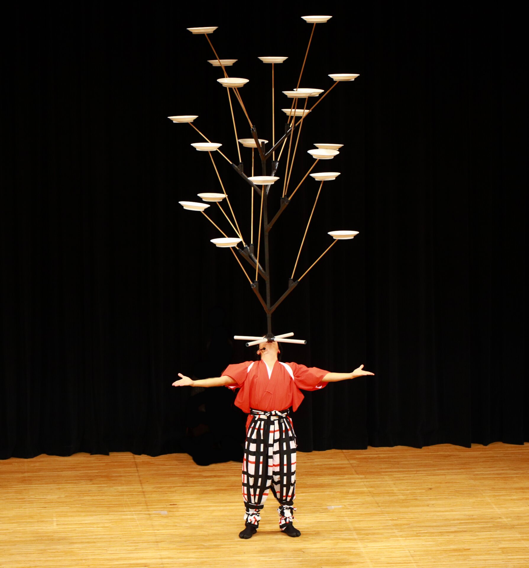 パフォーマンス写真 8